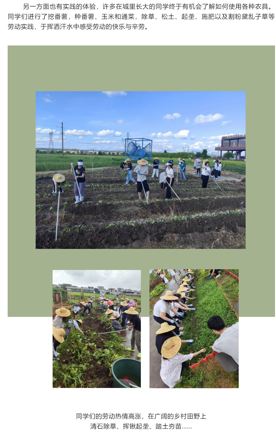 image-20230720111511-4