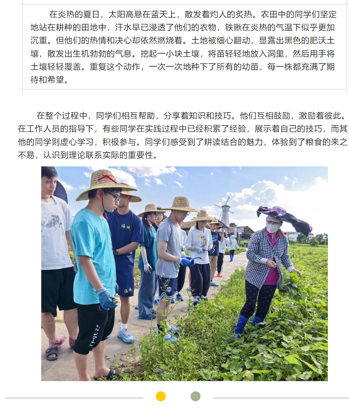 image-20230720111537-5